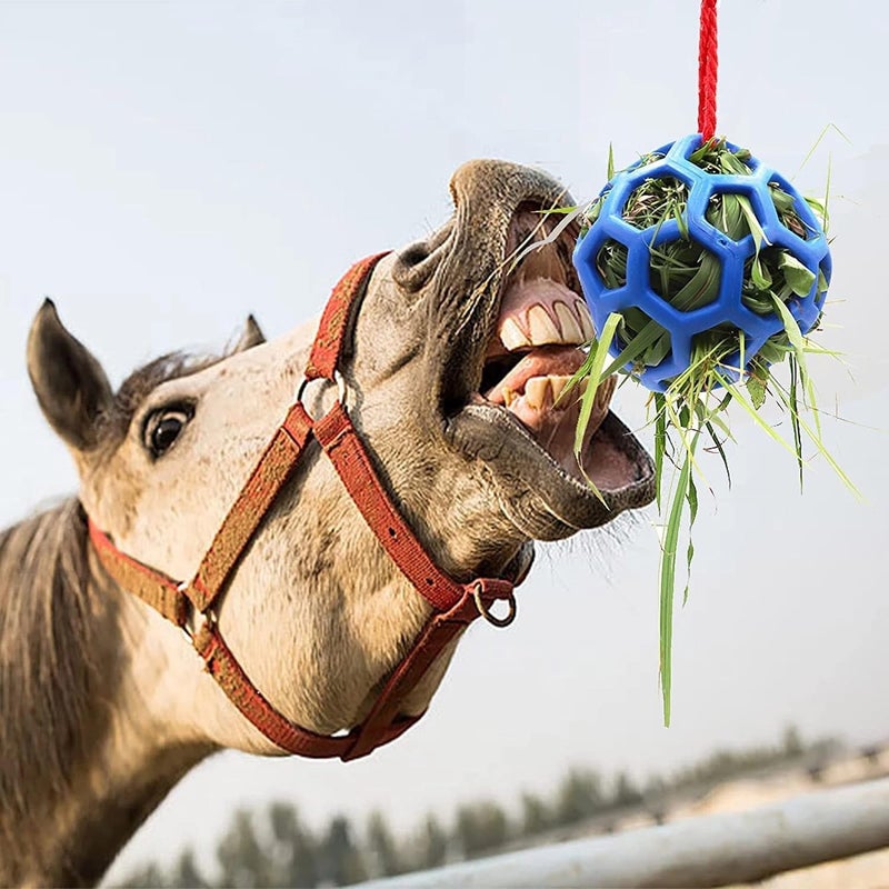 LinaLife 2 Pack 5.5inch Horse Treat Ball Hay Feeder Toy Ball Avoid Boredom Hanging for Goat Sheep Relieve Stress Horse - Image 5